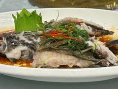 清蒸笋壳鱼-顺德佬华侨城店·商务宴请·团建