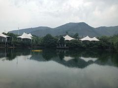 -帐篷客·溪龙茶谷度假酒店