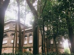 -南山植物园