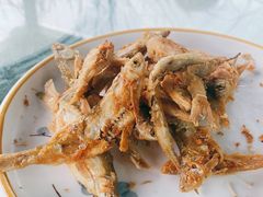 -巩本明鱼屋子