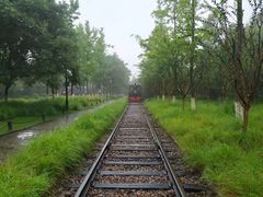 -运河游船(武林门码头)