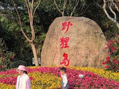 -野狸岛