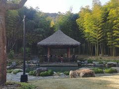 -兰亭风景区