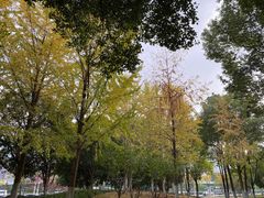 -后襄河公园
