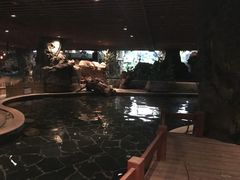 -顺景温泉