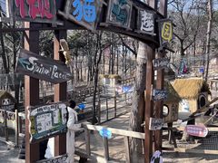 -沂蒙山旅游区云蒙景区(蒙山国家森林公园)