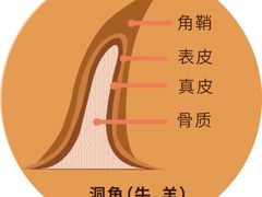 -昆明动物园