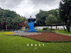 -荔湾湖公园