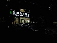 -瑞鹏宠物医院·内科·中兽医·骨科(苗圃店)