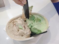 -极拉图·现制冰淇淋(大卫城店)