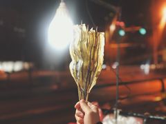 -沈阳药科大学