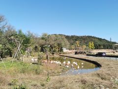 -杭州野生动物世界