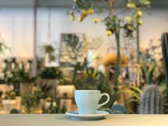-Seesaw Coffee(深圳万象天地店)