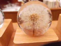 -二酉书店TOYOU BOOKS