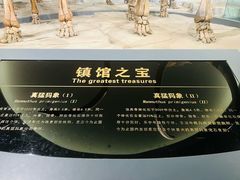 -大庆市博物馆