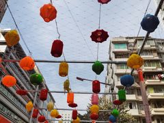 -越秀西湖花市(广州城市广场花卉店)
