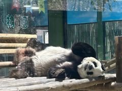 -栾川竹海野生动物园