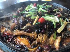 -老板恋上鱼(恒隆广场店)