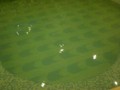 -东方之珠洗浴休闲广场(和平店)