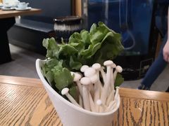 -云渔堂蒸汽石锅鱼(万达店)