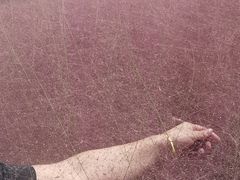 -嘉北郊野公园北游客中心-地上停车场