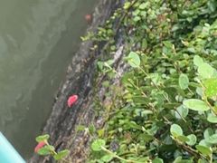 -小骨煲金华砂锅(转塘金街美地店)