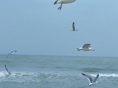 -那香海钻石沙滩浴场