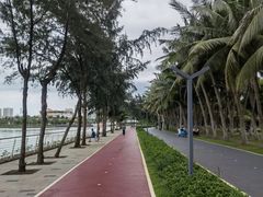 -万绿园