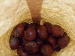 -好好栗子店(海宁总店)