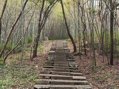 -南京市无想山景区
