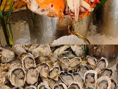 -怡聚轩全日制自助餐厅(大中华喜来登酒店)