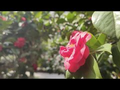 -华东政法大学(松江校区)
