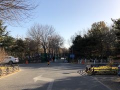 -大兴滨河森林公园