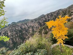 -京东石林峡风景区