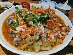 -陈记高压锅鱼头·生蚝