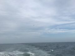 -东极岛景区