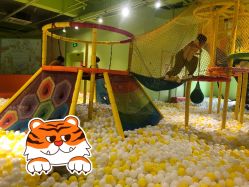 -宝燕乐园(闵行旗舰店)