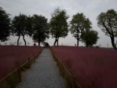 -汉长安城未央宫国家考古遗址公园