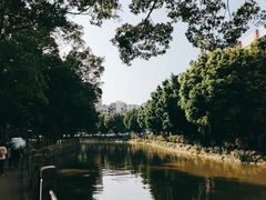 -晓港公园