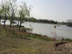 -上海长兴岛郊野公园