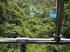 -野象谷景区