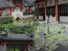 -广东花都湖国家湿地公园