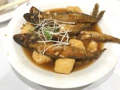豆酱焖南极鱼-稻香酒家·33年老字号·港式粤菜(富邦中心店)