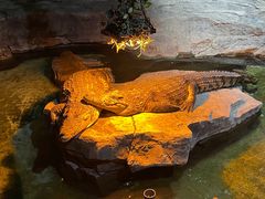 -泉城欧乐堡海洋极地世界