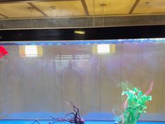 -臻享养生·SPA·影院式足道(汇臻店)