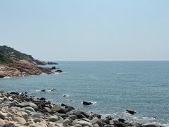 -广东惠东海龟国家级自然保护区