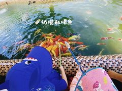 -杭州野生动物世界