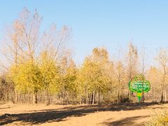 -亿利库布其七星湖沙漠生态旅游区