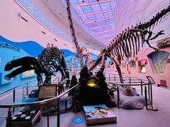 -陕西自然博物馆