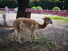 -昆山城市生态森林公园
